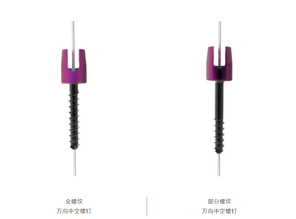 微信图片_20250410092850