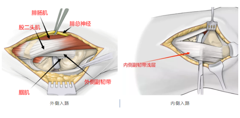 微信图片_20250425104648